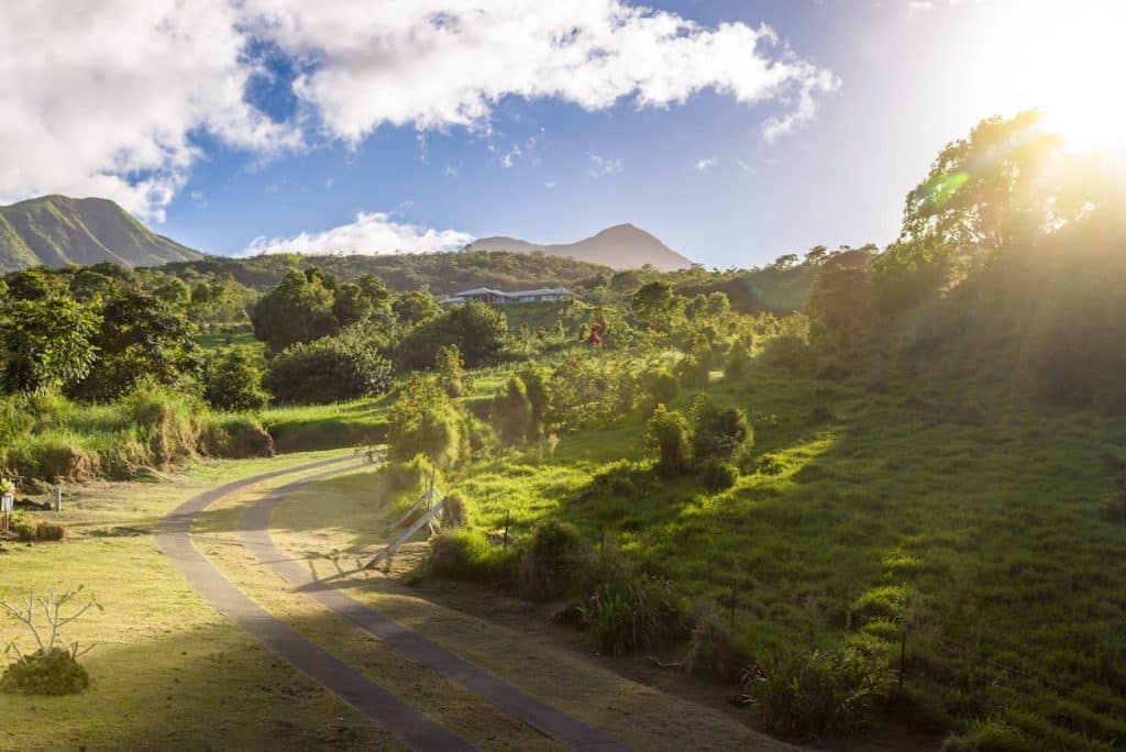 A winding road leads through lush green vegetation towards distant mountains under a partially cloudy blue sky, with sunlight illuminating the landscape.