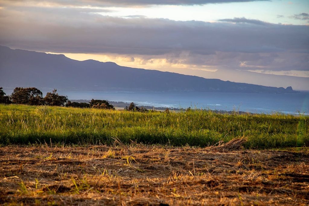 A scenic view of grassy fields with a distant mountain range under a cloudy sky, overlooking a body of water.