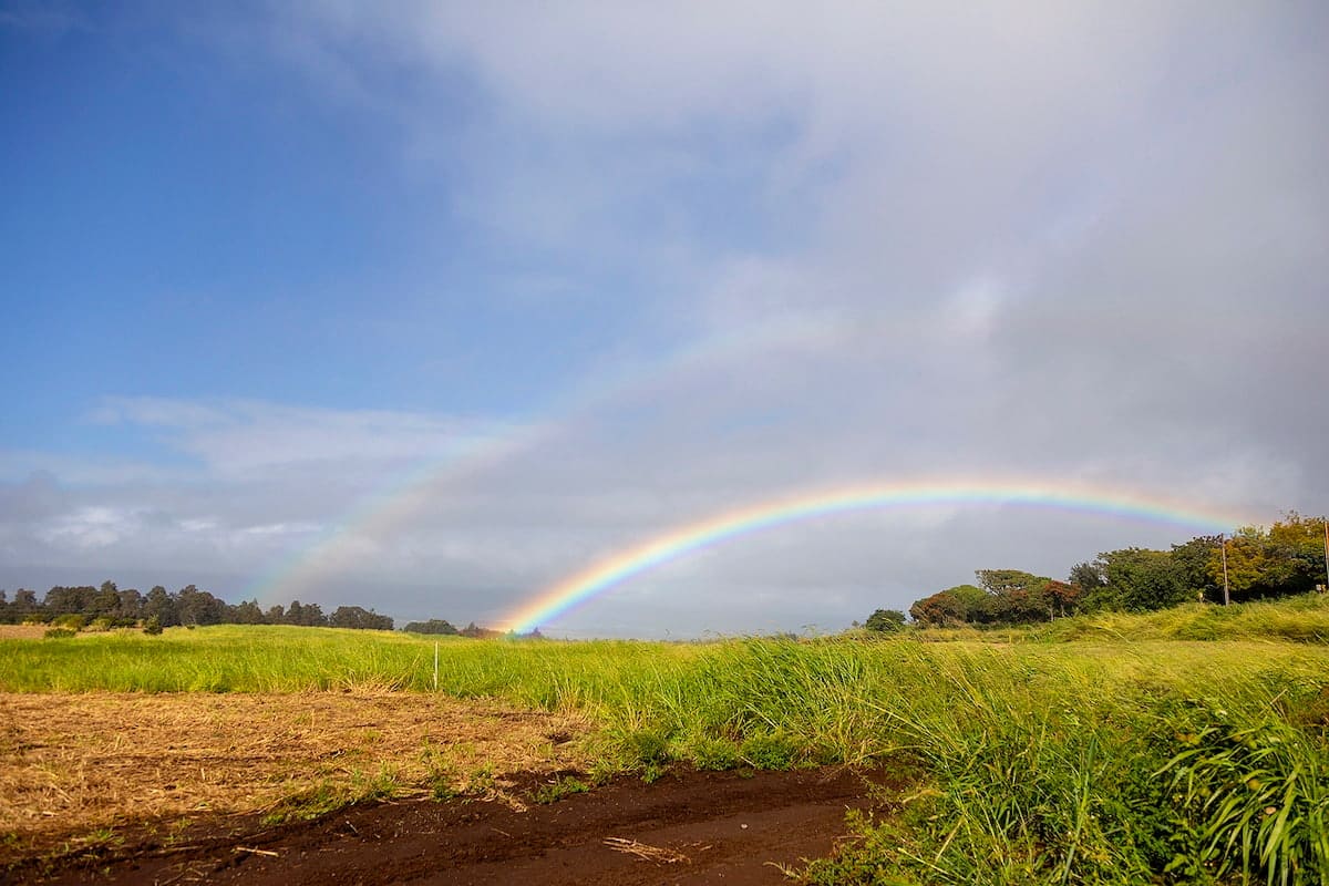 A vibrant double rainbow arches over a grassy field under a partly cloudy sky.