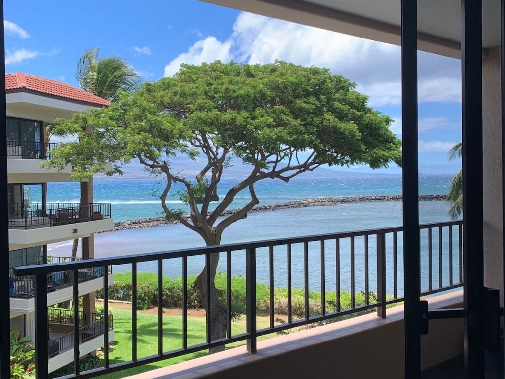 A scenic view from a balcony overlooking the ocean, with a tree framing the scene and a building with red-tiled roofs on the left.