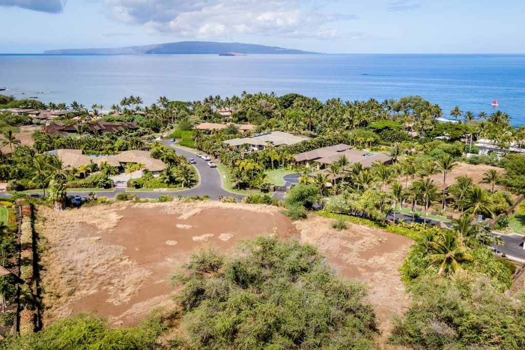Aerial view of a coastal residential area with luxurious homes surrounded by lush greenery and palm trees, situated near the ocean with an island visible in the distance.