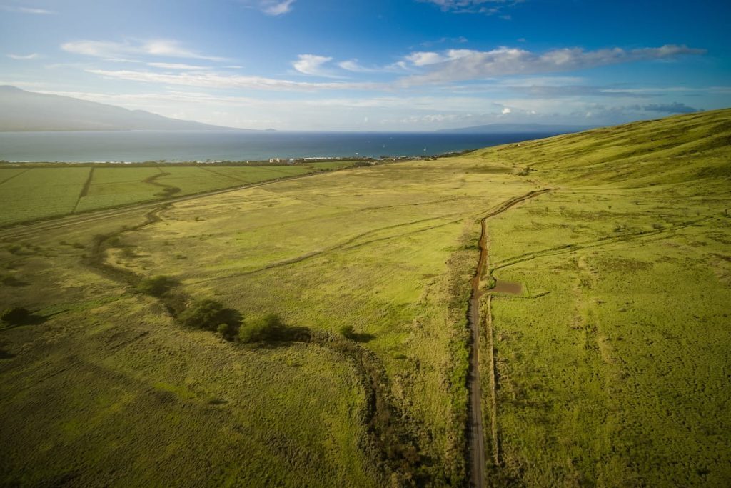 Aerial view of a lush green landscape with rolling hills and a winding road, leading towards a distant ocean under a clear blue sky.