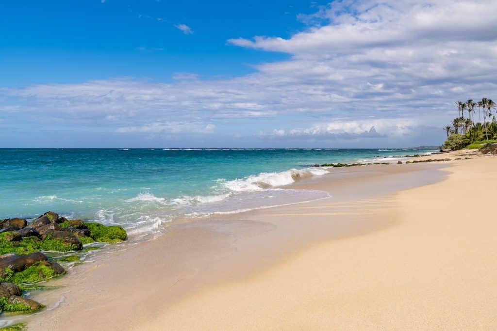 A scenic beach with golden sand, turquoise waves, and rocky outcrops covered in green moss under a bright blue sky with scattered clouds. Palm trees line the distant shore.