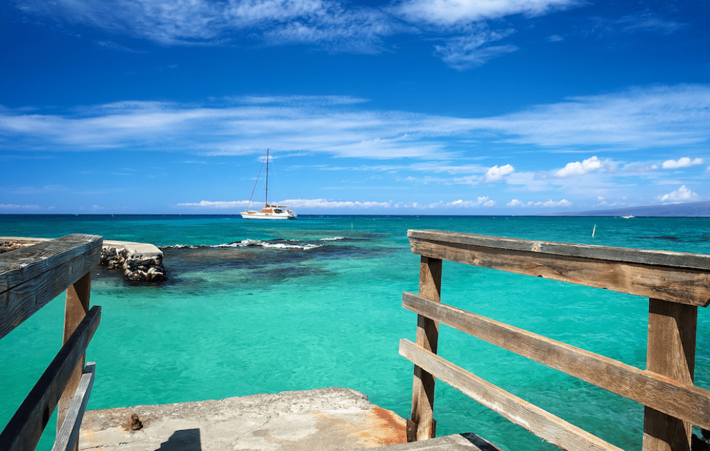 What is HARPTA Cover Photo